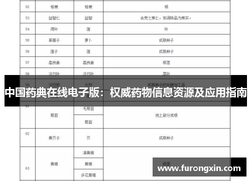 中国药典在线电子版：权威药物信息资源及应用指南